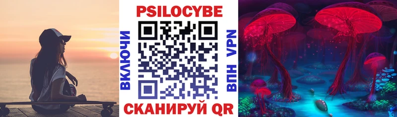 хочу наркоту Элиста Галлюциногенные грибы MAGIC MUSHROOMS